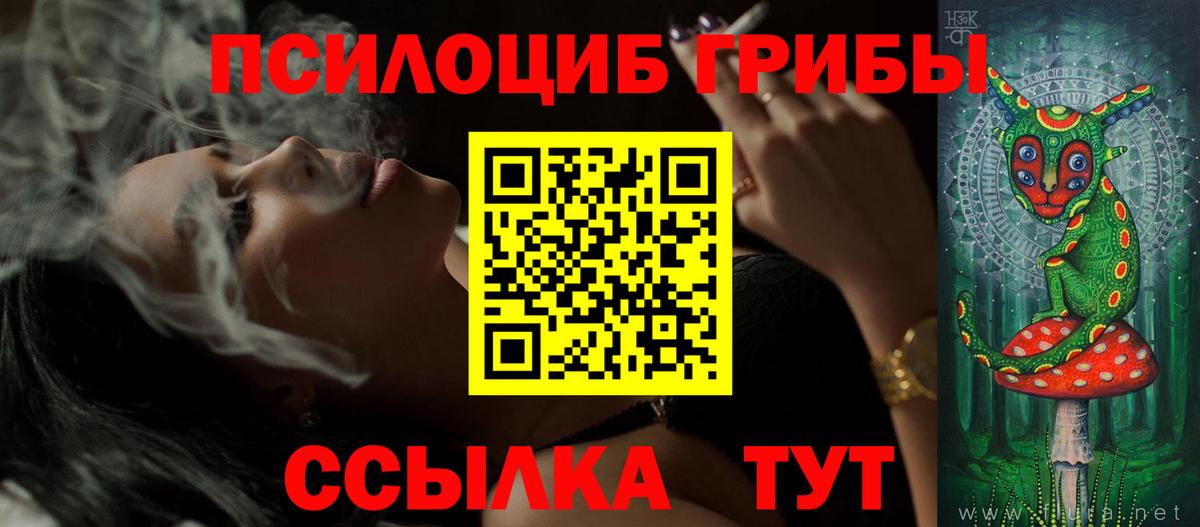 Псилоцибиновые грибы GOLDEN TEACHER Отрадный
